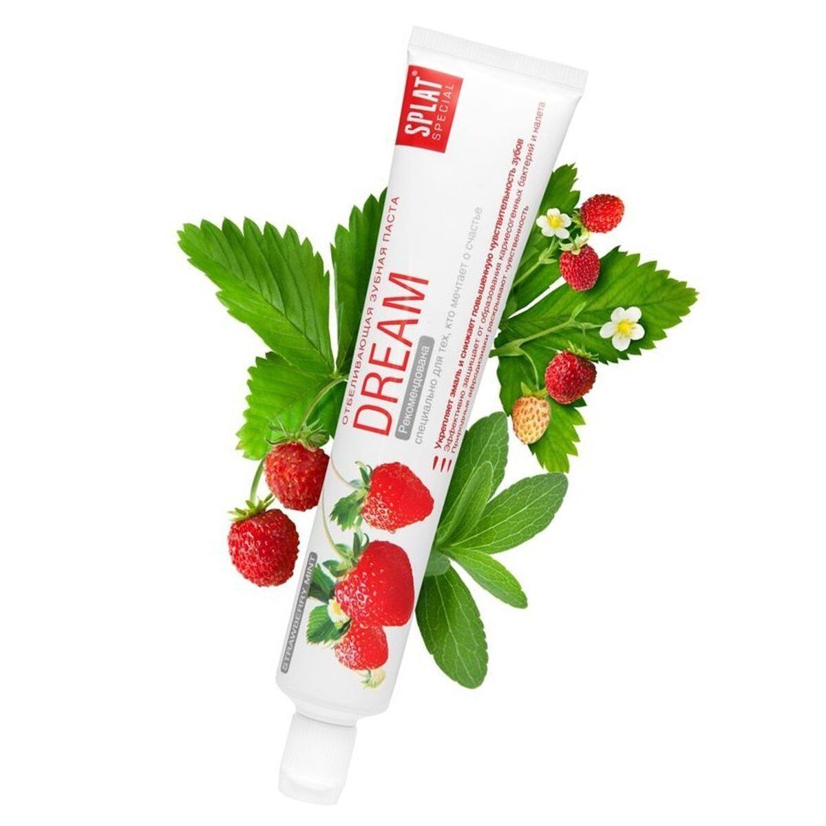 Splat Dream Diş Macunu 75 ml