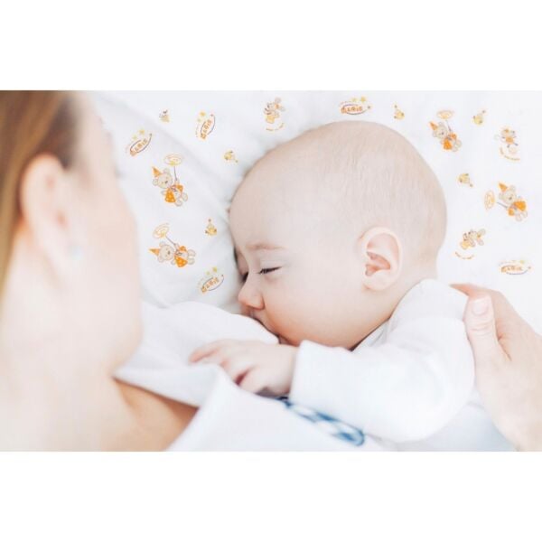 Mycey Mini Emzirme Minderi