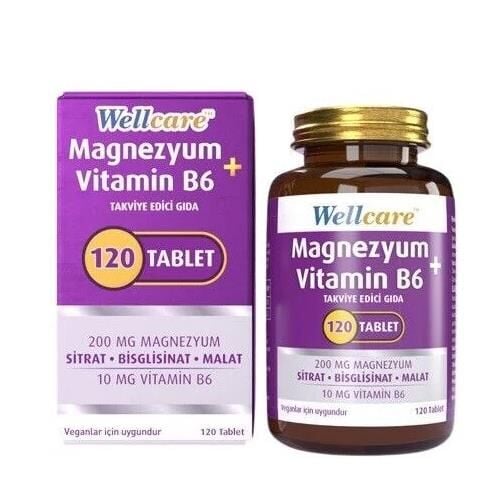 Wellcare Magnezyum + Vitamin B6 120 Tablet