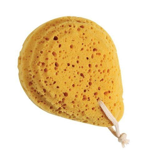 Wee Banyo Süngeri 850