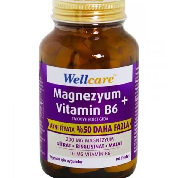 Wellcare Magnezyum + Vitamin B6 90 Tablet