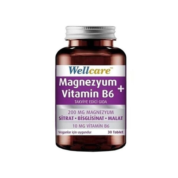 Wellcare Magnezyum + Vitamin B6 30 Tablet