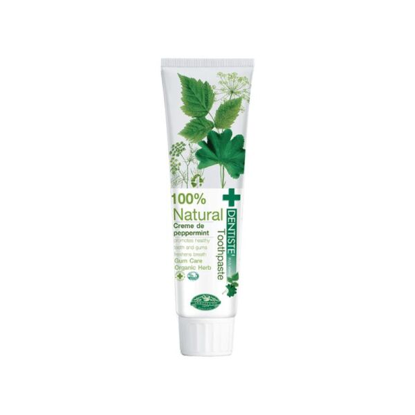 Dentiste Natural Diş Macunu 100 g