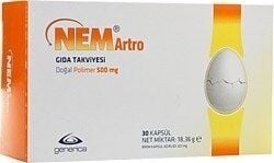 Nem artro 30 Kapsül 500 mg
