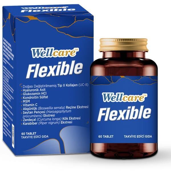 Wellcare Collagen Flexible 60 Tablet